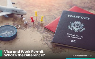 Visa and Work Permit, What’s the Difference?