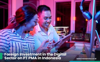 Foreign Investment in the Digital Sector on PT PMA in Indonesia