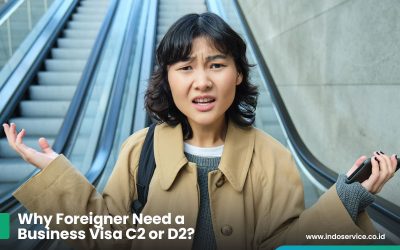 Why Foreigner Need a Business Visa C2 or D2?